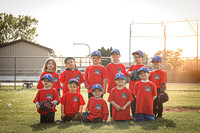Somerset Tball RED