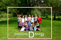 Diamond D Acres 2017